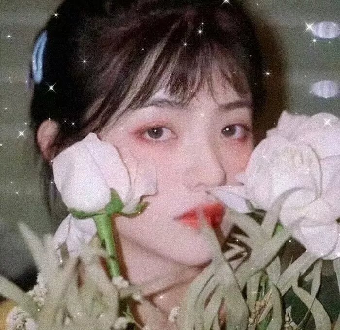 寻女朝圣路